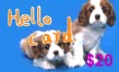 Click Here for the Calling Card Detail 