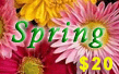 Click Here for the Calling Card Detail 