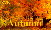 Autumn Calling Card