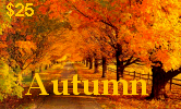 Autumn International Phone Card