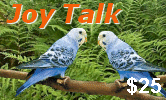 Joy Talk