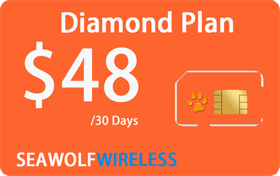 Seawolf Wireless %2448