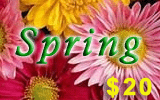 Spring Card Prepaid Phone Card